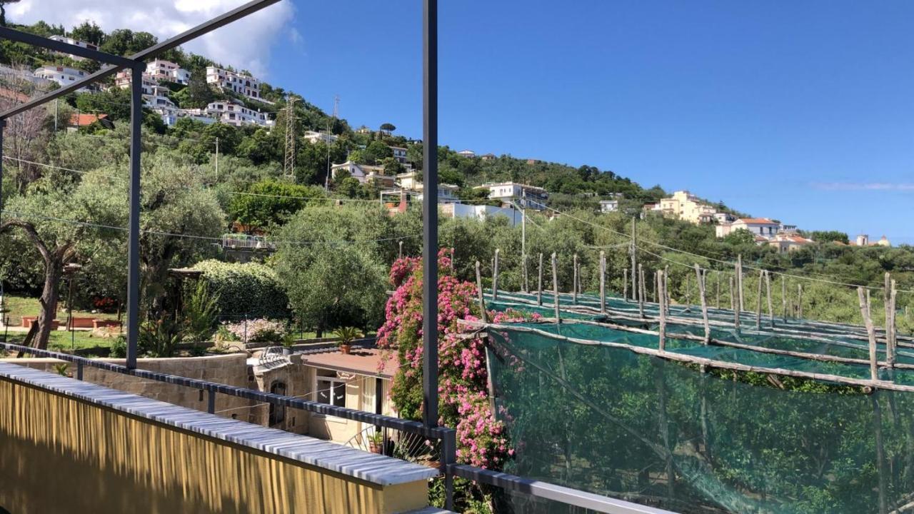 Bed & Breakfast Oasi Madre Della Pace Sorrento
